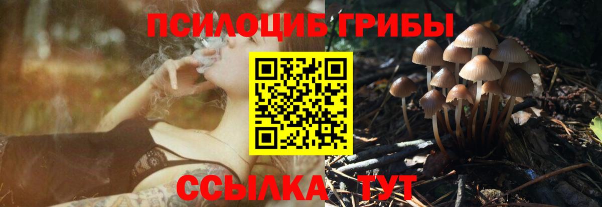 Галлюциногенные грибы Psilocybe Минеральные Воды